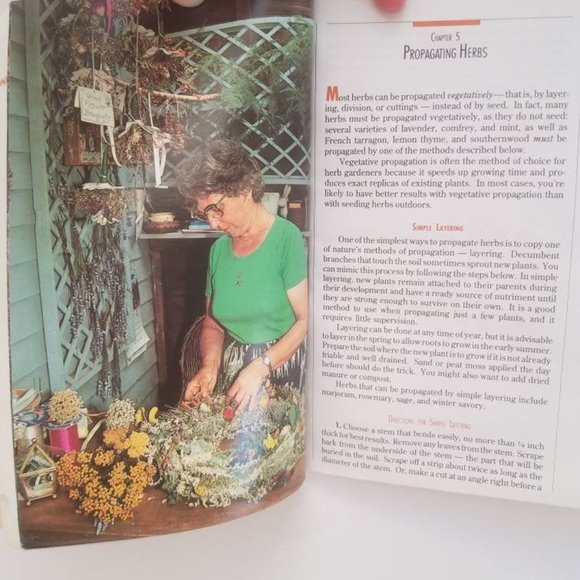 HERBS THE YEAR ROUND 1990s Gardening Guide Vintage Book - Picture 7 of 10